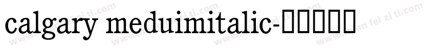calgary meduimitalic字体转换